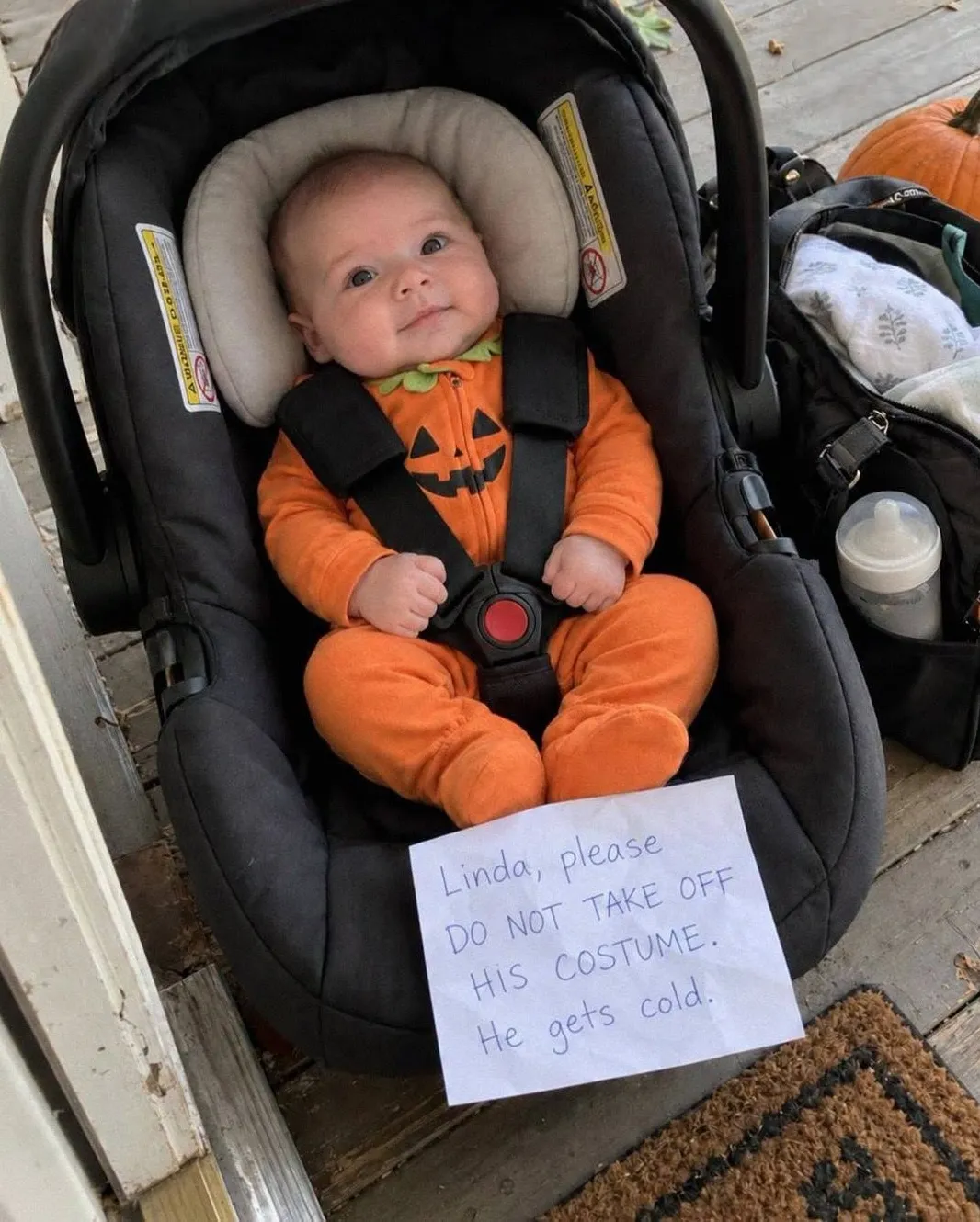 Odkrycie dotyczące dyni Halloween ujawnia oszustwo